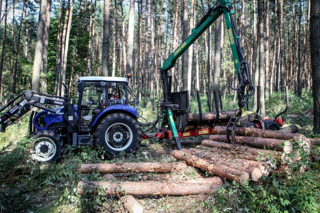 Pozyskiwanie biomasy z lasu