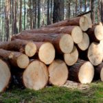 pakiet dla przemysłu drzewnego