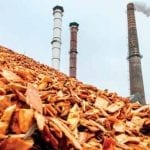 Certyfikacja biomasy