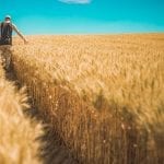 środki unijne dla rolników