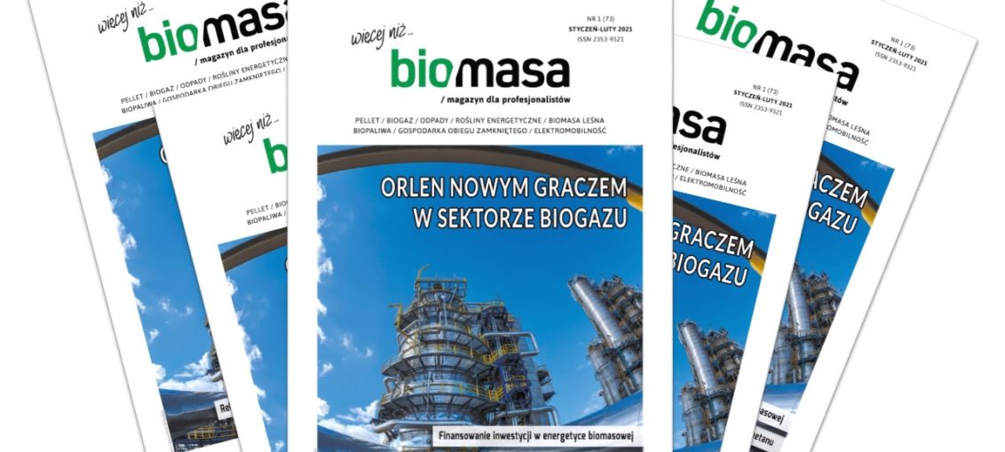 magazyn biomasa - luty 2021