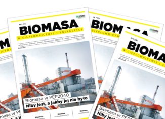 magazyn biomasa - marzec 2021