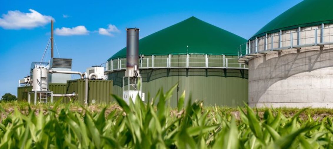 certyfikaty biogaz biometan w polsce