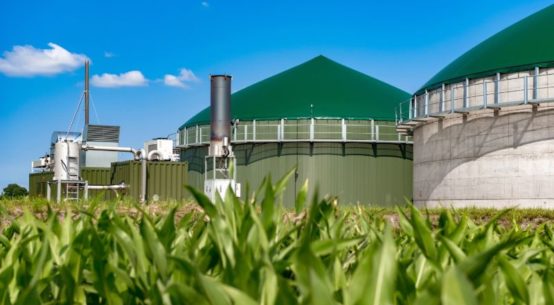 certyfikaty biogaz biometan