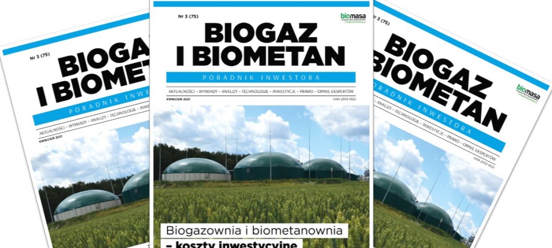 Biogaz i biometan - poradnik inwestora