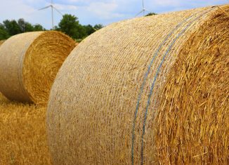 inwestycja biomasowa