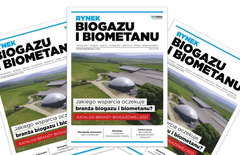 rynek biogazu i biometanu