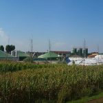Biogazownie rolnicze a ślad węglowy