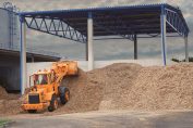 Potencjał rynku biomasy w Polsce