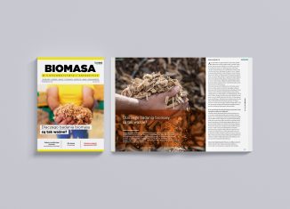 biomasa w ciepłownictwie