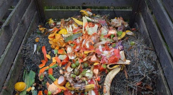biogazownia w Łobzie odpady