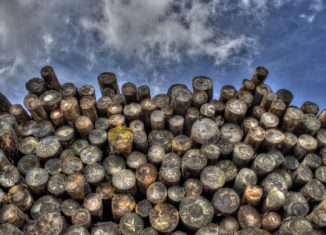 dyrektywa unijna dotycząca biomasy drzewnej