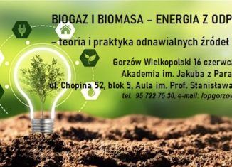 biogaz i biomasa