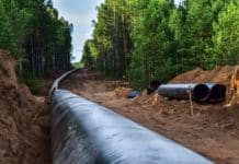 sieci gazowe a biometan