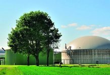 Sektor biogazowy w zupełnie nowej rzeczywistości Rynek biogazowy, sektor biogazowy