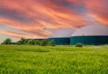 schemat biogazowni rolnicza
