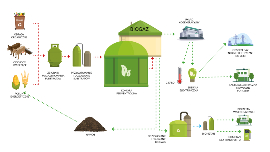 schemat biogazownia