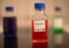 produkcja biometanu z materiałami węglowymi