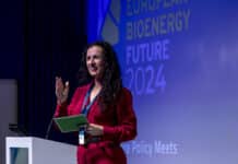 European Bioenergy Future