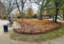 liście
