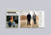 Biomasa i paliwa alternatywne