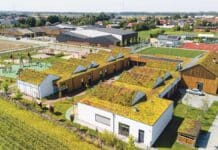 zielony dach