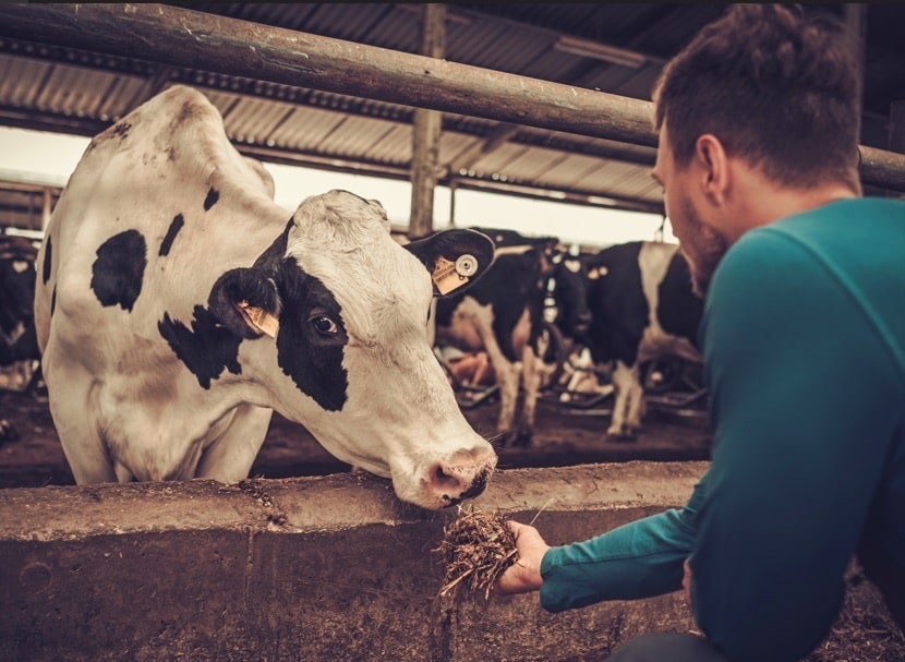 Dzięki Danone powstało już 8 mikrobiogazowni