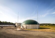 Błędy w dokumentacjach środowiskowych