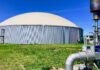 Neo Bio Energy przejmuje biogazownię od Biowatt neo bio energy biogazownia w Żórawinie