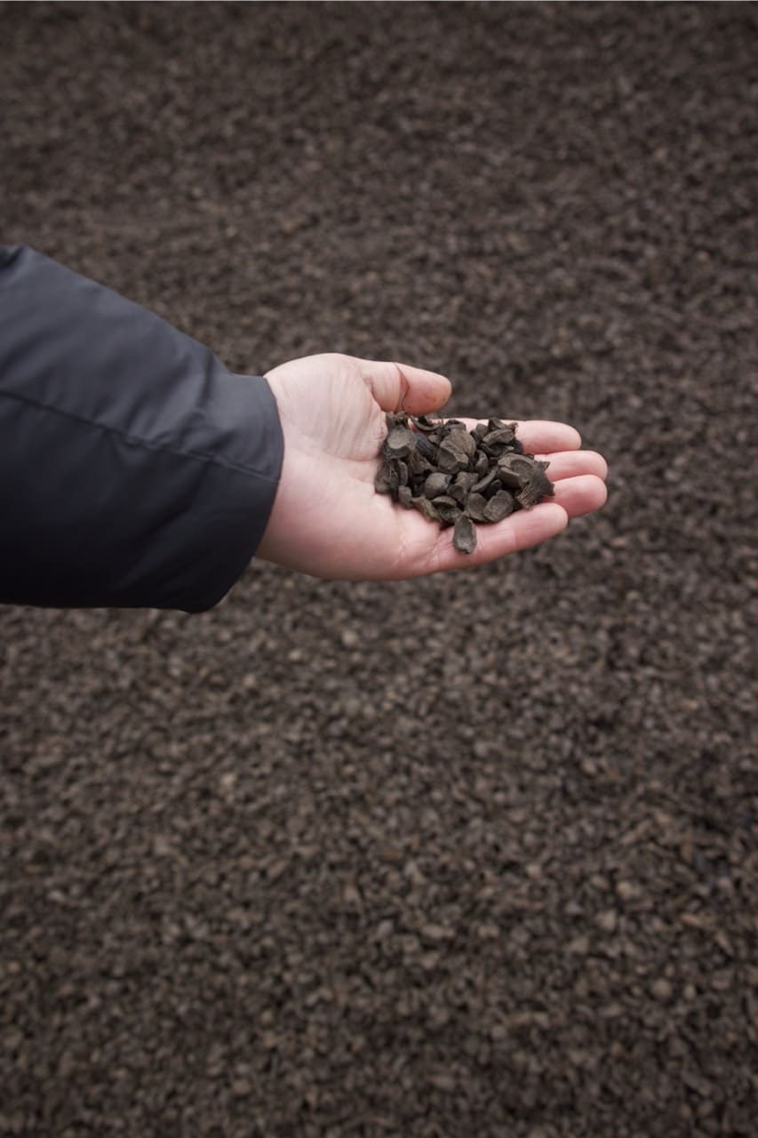 Statek z łupinami olejowca gwinejskiego dopłynął do gdańskiego portu