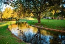 Gmina Mosina razem z innymi zadba o retencję retencja