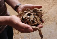 Biomasa energetyczna