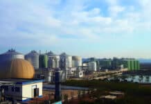 Chiński rynek biogazu: stan i kierunki rozwoju