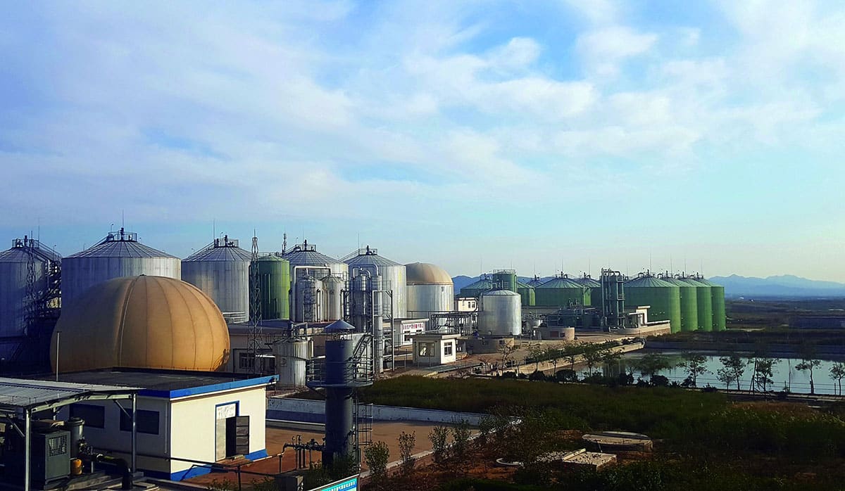 Chiński rynek biogazu: stan i kierunki rozwoju