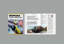 biomasa