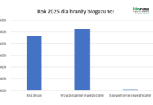 rynek biogazu 2025