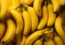 Jak zwiększyć efektywność produkcji biogazu? Naukowcy opracowali rozwiązanie banany biogaz