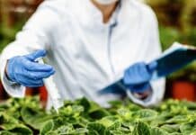 Bezpieczeństwo żywnościowe i biogaz są ze sobą połączone bezpieczeństwo żywnościowe i biogaz