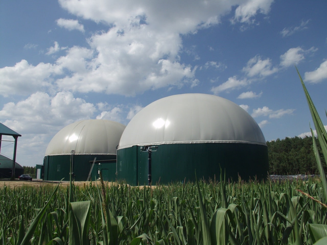 Biogaz i biometan to jedna z luk inwestycyjnych. BGK zamierza to zmienić