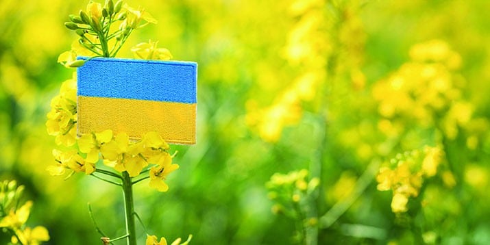 Ukraina – 111 mln m3 biometanu do końca 2025