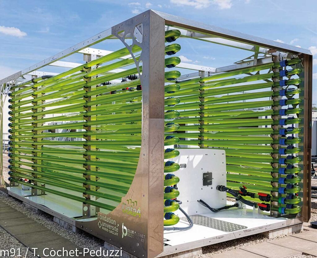 Centra danych – dlaczego cyfrowe świątynie przechodzą na OZE?