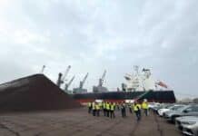 Tania biomasa przechodzi już do historii? Tania biomasa