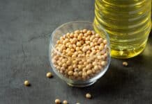 Biopaliwa tak, ale nie z soi. Komisja Europejska ograniczy deforestację