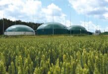 Rozbudowana biogazownia – więcej korzyści dla gminy biogazownia