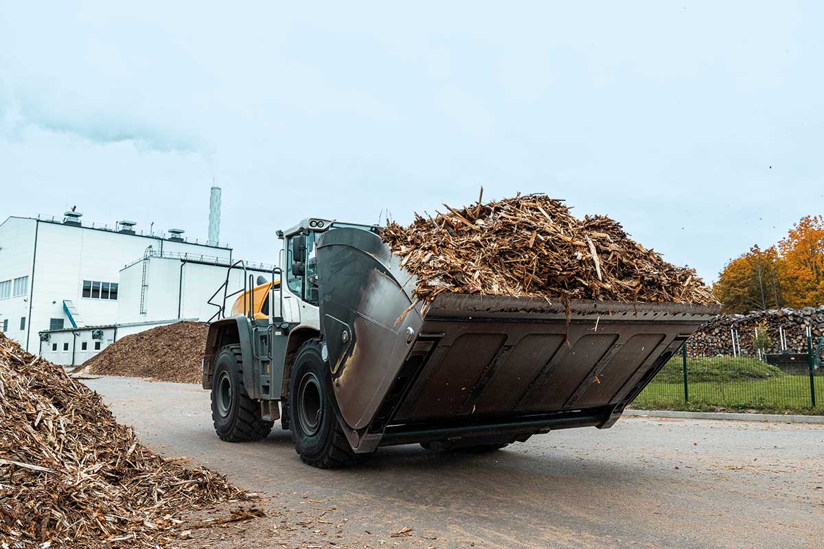 Kogeneracja i biomasa w polskim systemie energetycznym