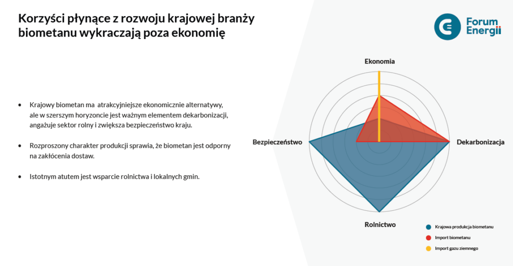 Forum energii raport