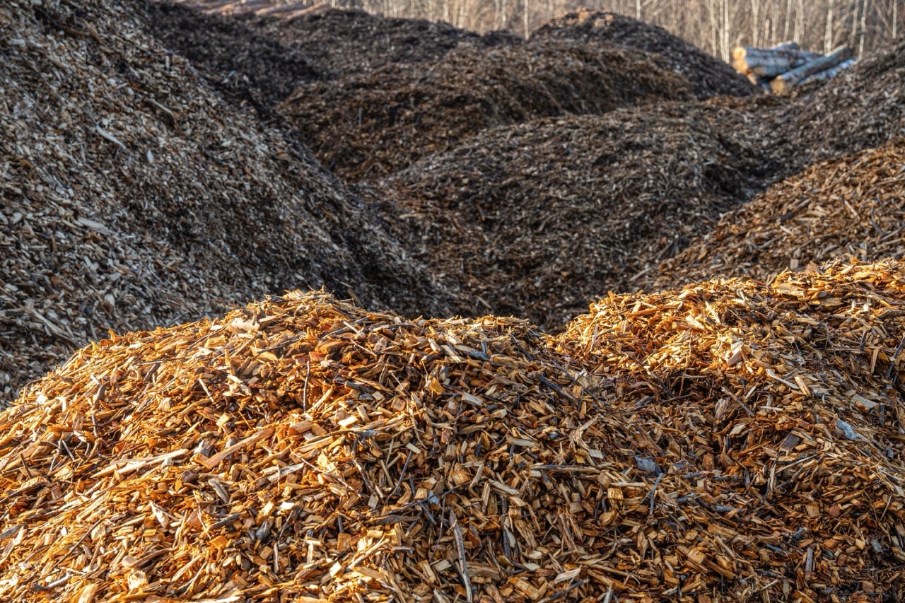 Drewna z lasów coraz mniej, a to ogranicza dostęp do biomasy