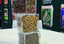 Pellet