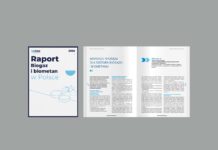 Raport biogaz i biometan