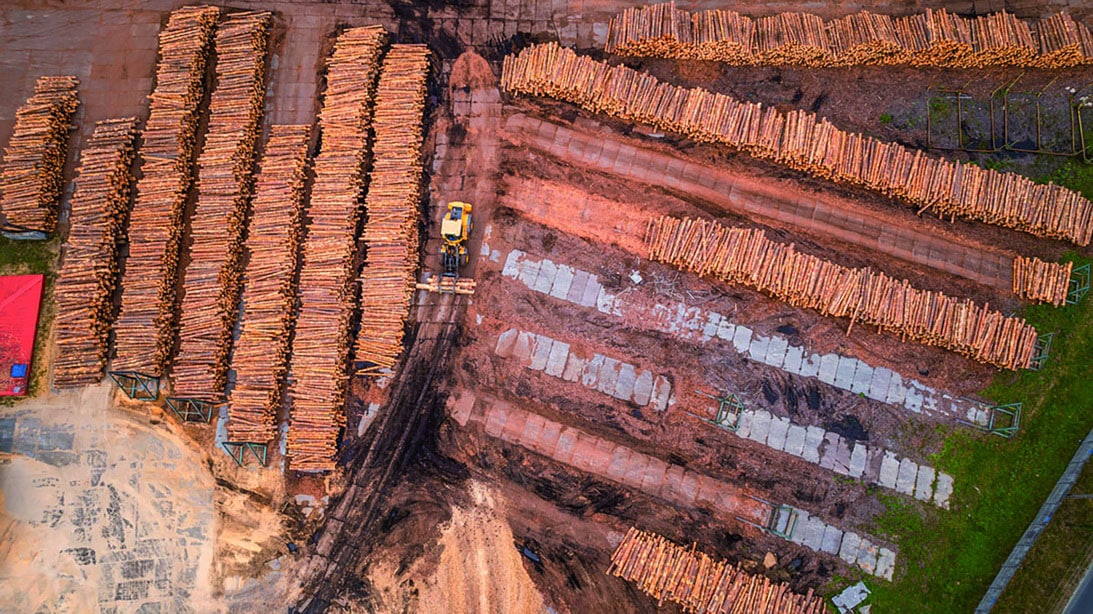 Inwestycje budują odporność na wahania rynku